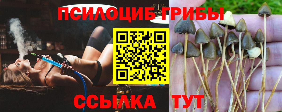 Псилоцибиновые грибы ЛСД  Вход с VPN  Дивногорск 