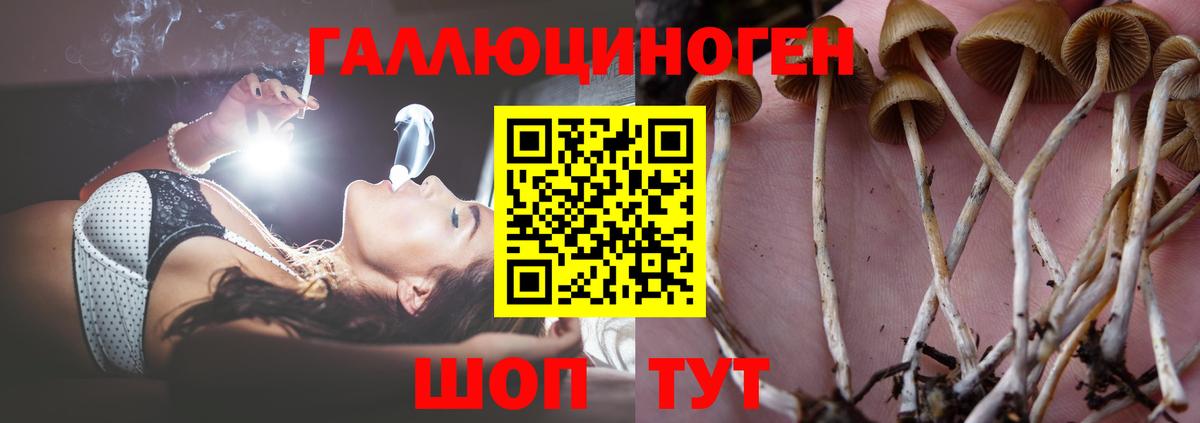 Псилоцибиновые грибы MAGIC MUSHROOMS Дивногорск